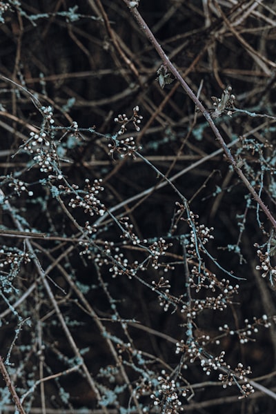 Aceleración de redes neuronales convolucionales mediante poda basada en criterios