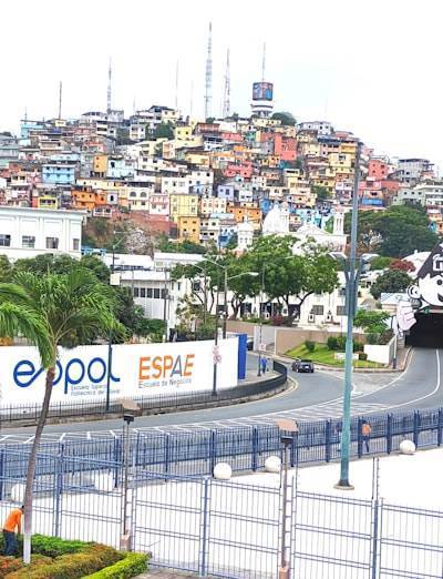 Principales empresas de desarrollo de aplicaciones móviles en El Ejido