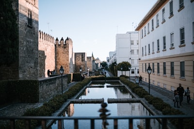 Las 50 mejores empresas de plataformas de análisis personalizadas en Córdoba