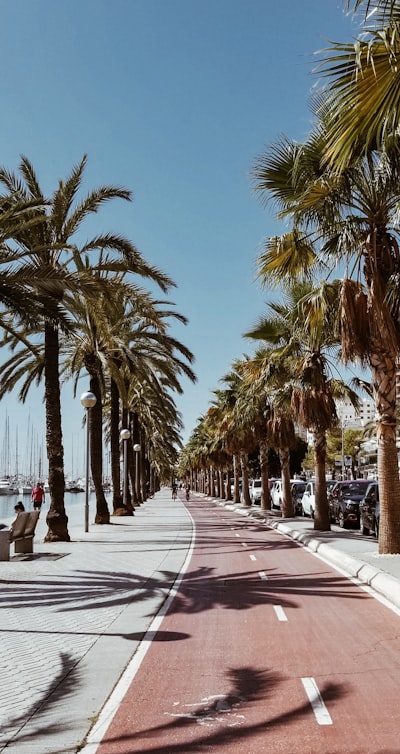 Clasificación de documentos con IA en Palma