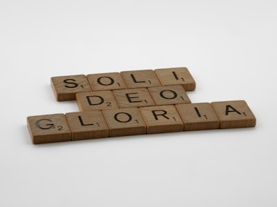 Cómo elegir un socio de desarrollo de plataforma de gobernanza de software: Guía completa