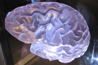 Neurociencia en conducción autónoma