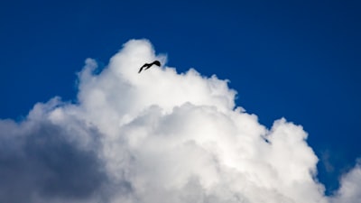 Las mejores empresas de desarrollo de aplicaciones web en la nube en Las Palmas