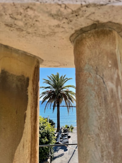 Automatización de Renovación para Miembros en Palma