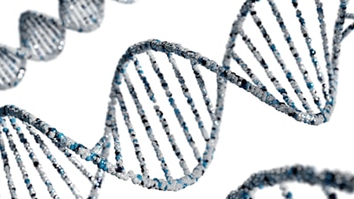 Meta-aprendizaje evolutivo para generar redes neuronales