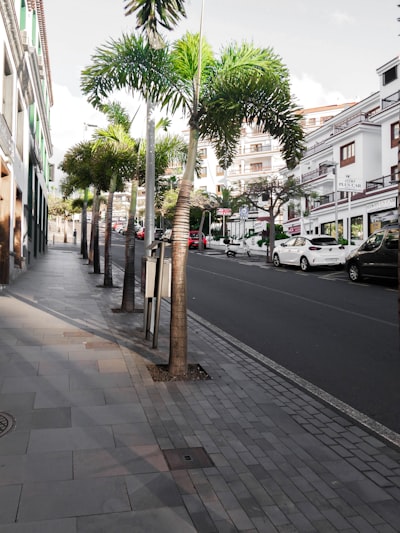 Automatización de procesos empresariales en Santa Cruz de Tenerife