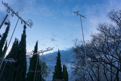Servicios de teléfono AI en Castellón.