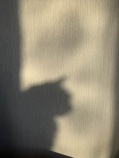 Shadow AI vs. Shadow IT: ¿Cuál es peor?