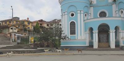 Los mejores expertos en desarrollo de IA en La Orotava