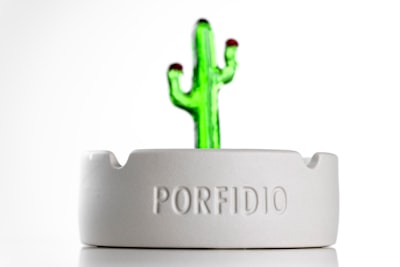 Top 15 Expertos en Desarrollo de Portal Personalizado en Zaragoza