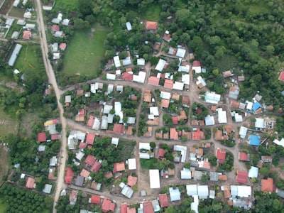 Cómo encontrar servicios de desarrollo de IA en Burriana