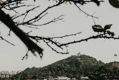Colaborador oficial de IA en SEO en Vitoria