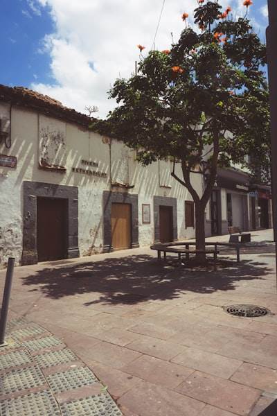 Programación a medida en San Javier