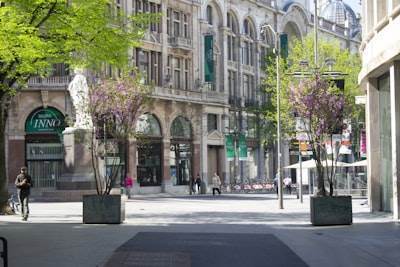 La importancia del servicio de compras en línea para empresas en Madrid en 2024.