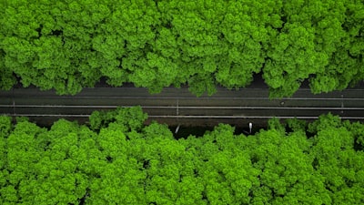 Escalar operaciones con automatización para objetivos ambientales.