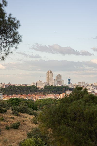 Desarrollo oficial con socio de vibe coding en Madrid: más de 15 años de experiencia