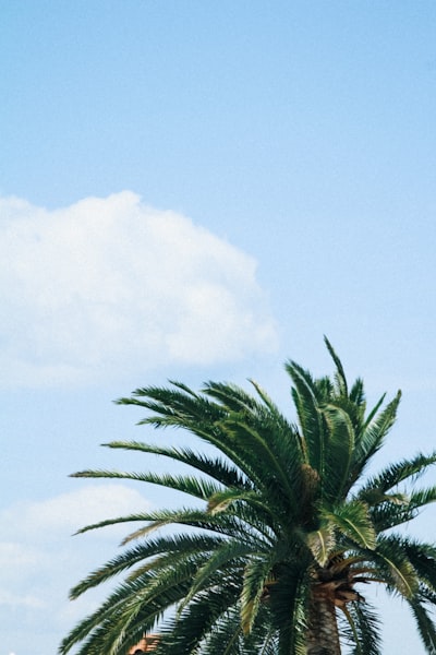 Las 20 mejores empresas de software empresarial en Ibiza