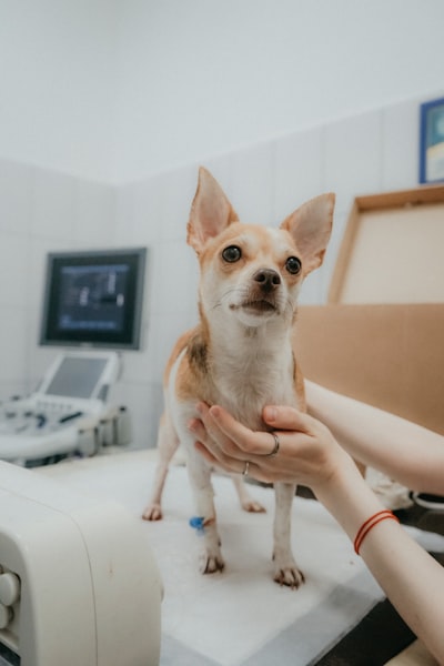 Análisis de toxicidad veterinaria con aprendizaje no supervisado