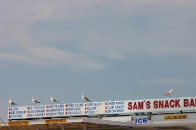 Las mejores empresas de Bots de SEO en San Vicente del Raspeig