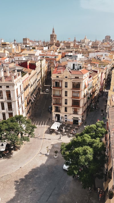 Análisis de los principales expertos en software logístico en Valencia