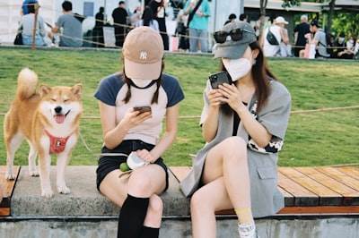 Principales Expertos en bots de Instagram en Sestao