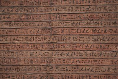 Modelos de IA robustos ante la evolución histórica de la escritura