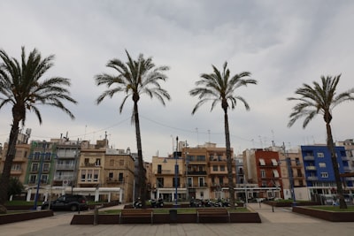 Top 20 Expertos en apps personalizadas en Tarragona