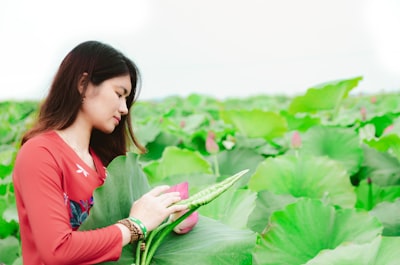 Innovación en Biotecnología y Control Biológico en Agricultura