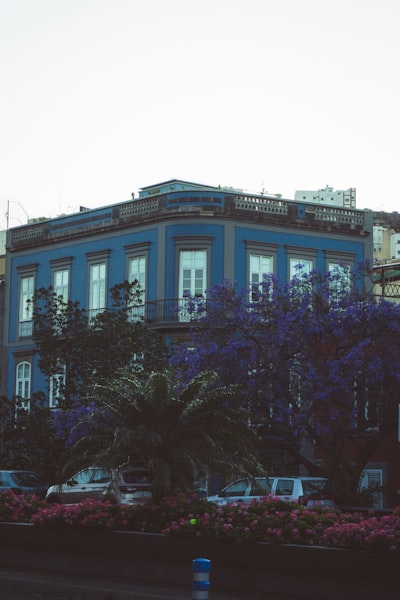 Mejores empresas de soluciones de aplicaciones en Las Palmas