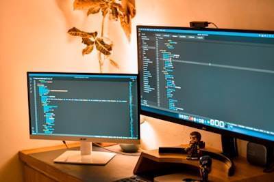 Empresa de software vs software de bricolaje: ¿Cuál elegir para tu negocio?