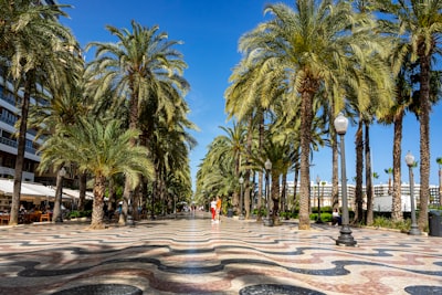 Reduce faltas en salón de belleza en Alicante