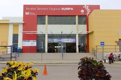 Desarrollo de IA en Ribeira