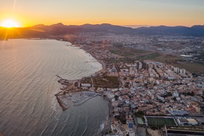 Top 20 Expertos en Servicios de IA por Teléfono en Palma