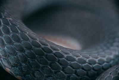 Crear un Agente de GitHub Controlado por Voz