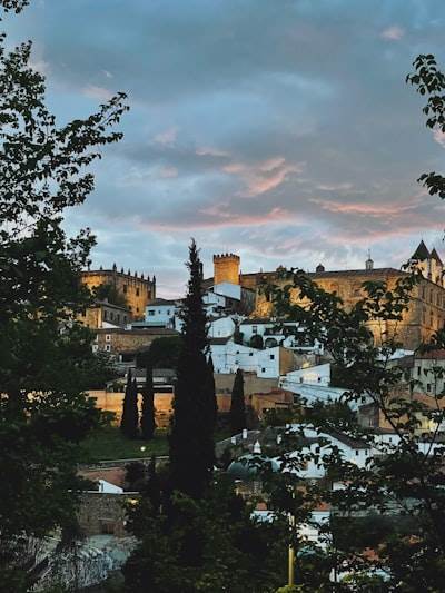 Encuentra bots de Instagram en Cáceres