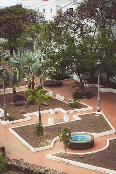 Servicios de integración profesional en Las Palmas