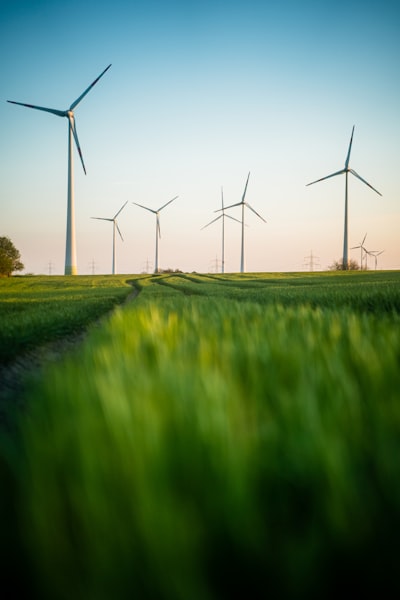 Portal energético: cultura de transparencia y responsabilidad