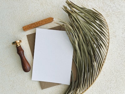 Optimiza tus finanzas con esta herramienta de $15