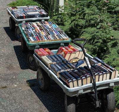 Cómo Books N Beyond puede aumentar los pedidos mediante tráfico orgánico