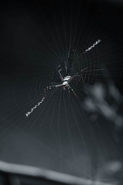 El scraper web de inteligencia artificial en n8n: Rastrillando cualquier cosa