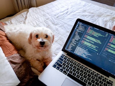 Aliado confiable en programación