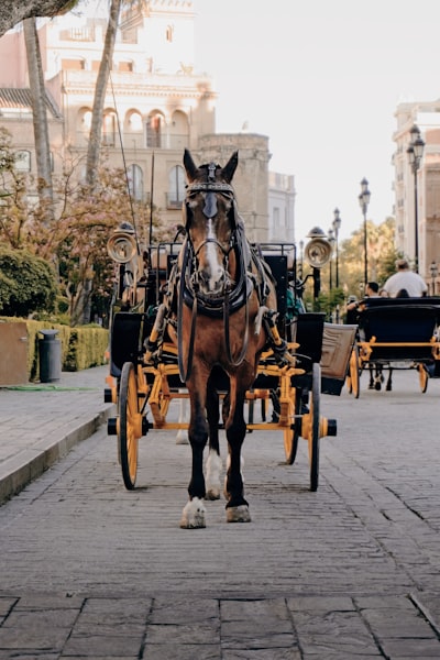 Automatización del seguimiento de carritos abandonados en Sevilla