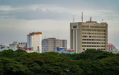 Las mejores empresas de bots de Telegram en Santo Domingo de la Calzada