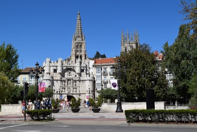 Servicios de SEO Bots en Burgos