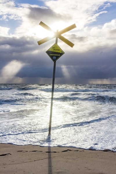 Aprendizaje de transferencia a través de clusters meteorológicos para pronóstico de energía eólica marina