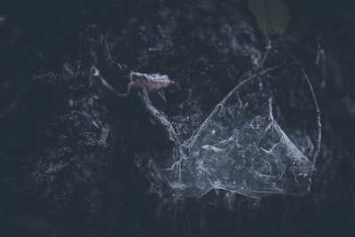 Investigando la Dark Web con IA