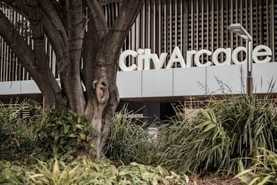 Top 5 Companies for AI Development Services in Caravaca de la Cruz
