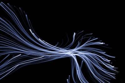 "La gestión de la red detrás de la innovación en fibras"
"El control de la red detrás de la innovación en fibras"
"Red Gestionada y Innovación en Fibras"
"Innovación en Fibras mediante la gestión d