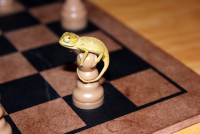 Optimización de Estrategias Evolutivas Competitivas para Aprendizaje por Refuerzo