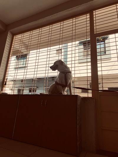 Únete a la llamada de video con ella
